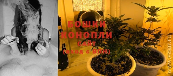 круглые Белокуриха