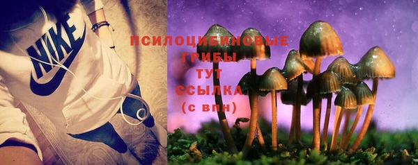 соль ск Беломорск